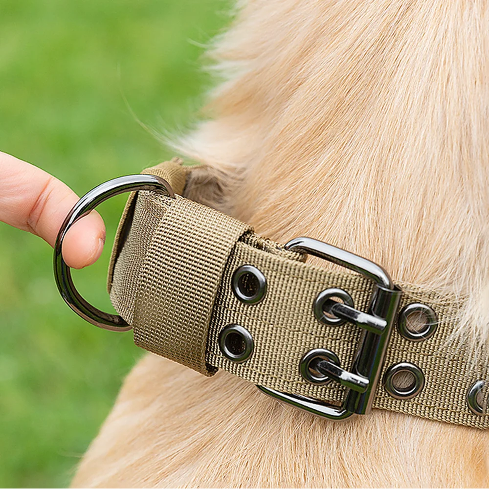 Hundhalsband med dubbelspänne