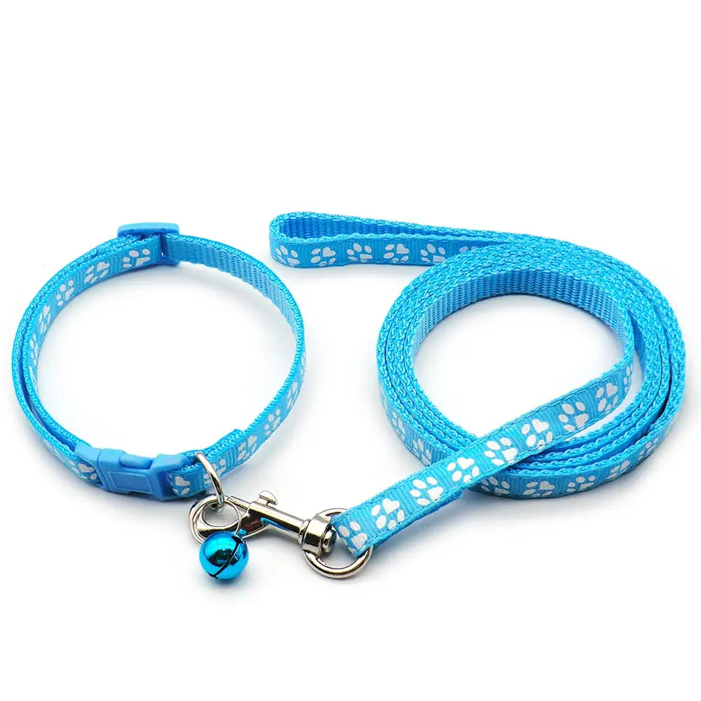Halsband och koppel med tassmotiv