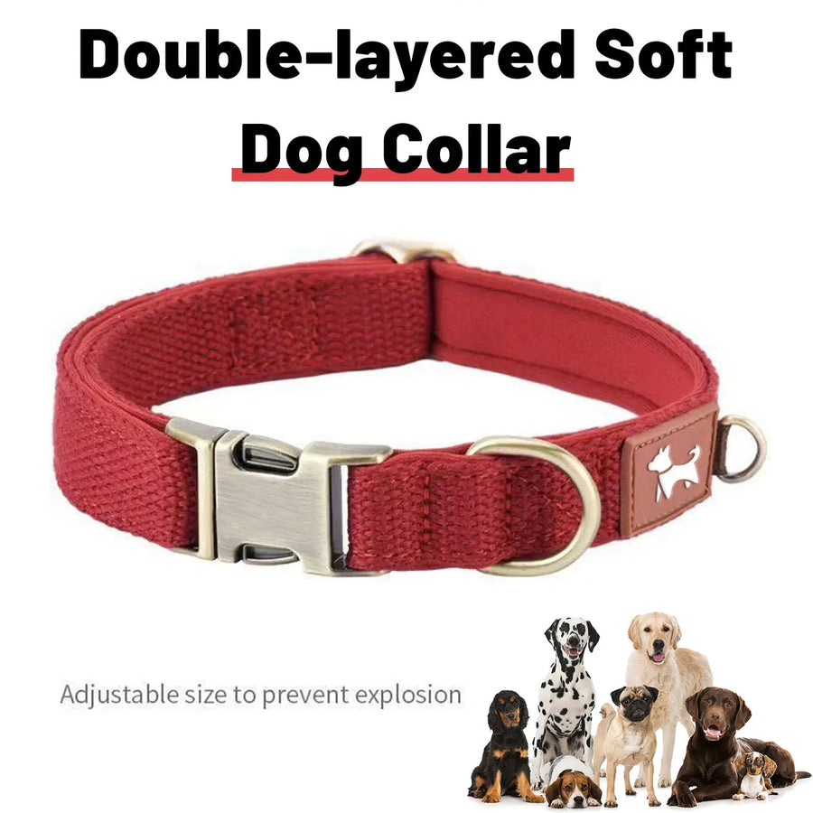 Hundhalsband med snabbspänne