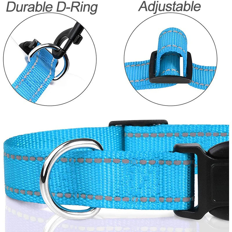 Justerbart halsband med reflexsömmar