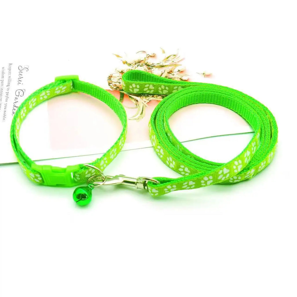 Halsband och koppel med tassmotiv