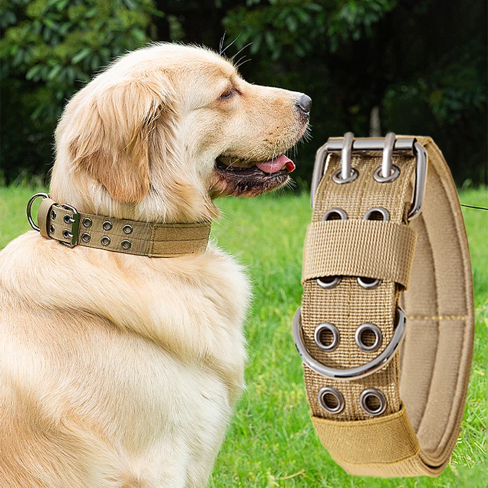 Hundhalsband med dubbelspänne