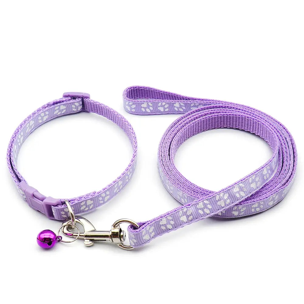 Halsband och koppel med tassmotiv