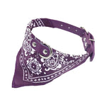Hundhalsband med mönstrad scarf