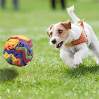 Snuffelboll för nosarbete