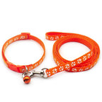 Halsband och koppel med tassmotiv